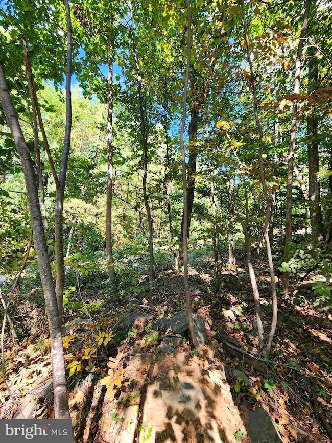 0 Parkside Rd unit VAWR2012298, Linden, VA 22642 - photo 4