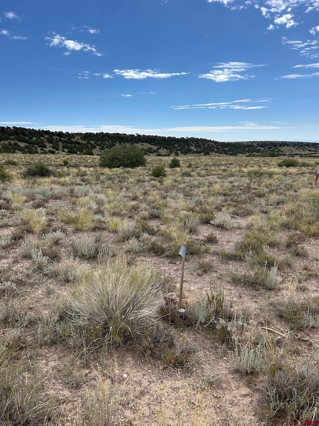 TBD Tbd, La Jara, CO 81140 - photo 6