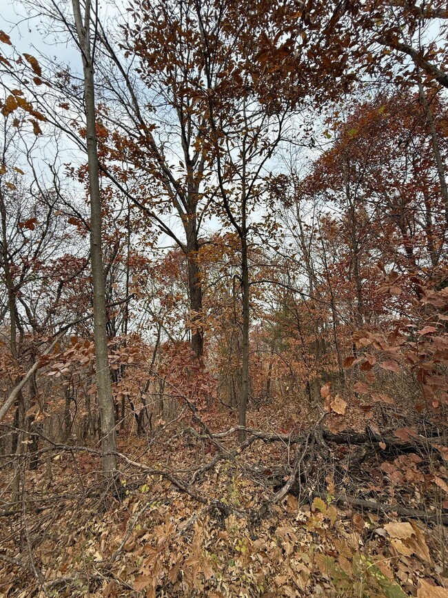 0 Dover Bluff, Waverly, MO 64096 - photo 4