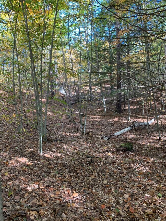 Lot 2 Journeys End Rd, Francestown, NH 03043 - photo 7