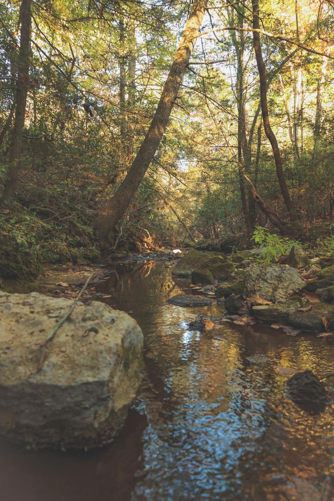 1047 Nelson Harris Rd, Evensville, TN 37332 - photo 3