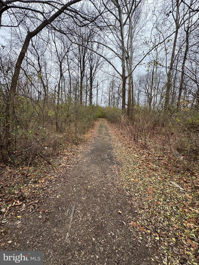 131 N Main St, Douglassville, PA 19518 - photo 7