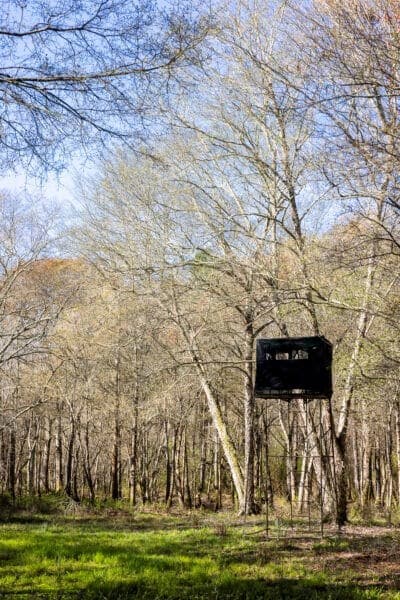 3007 Zion Grove Church Rd, Coolidge, GA 31738 - photo 5