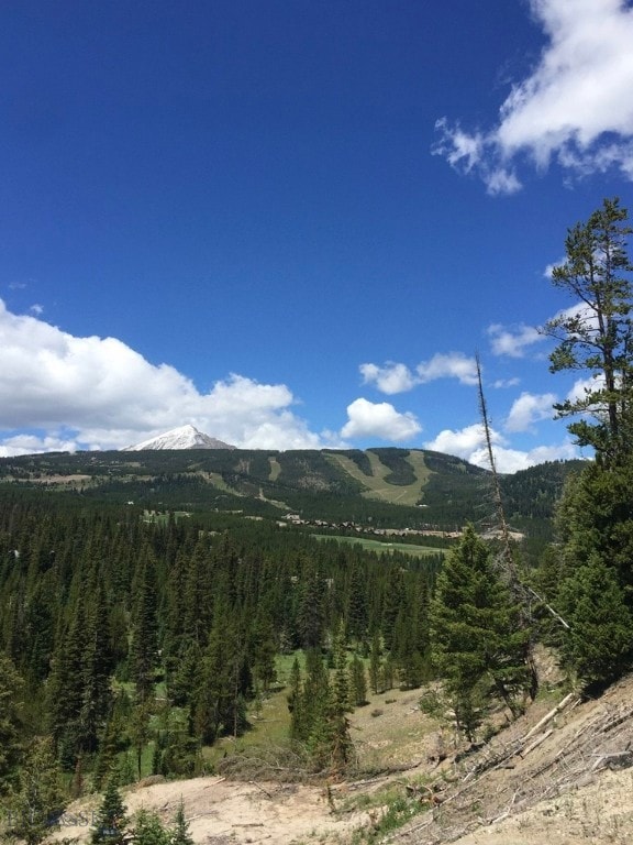 TBD Bitterbrush Trail, Big Sky, MT 59716 - photo 3