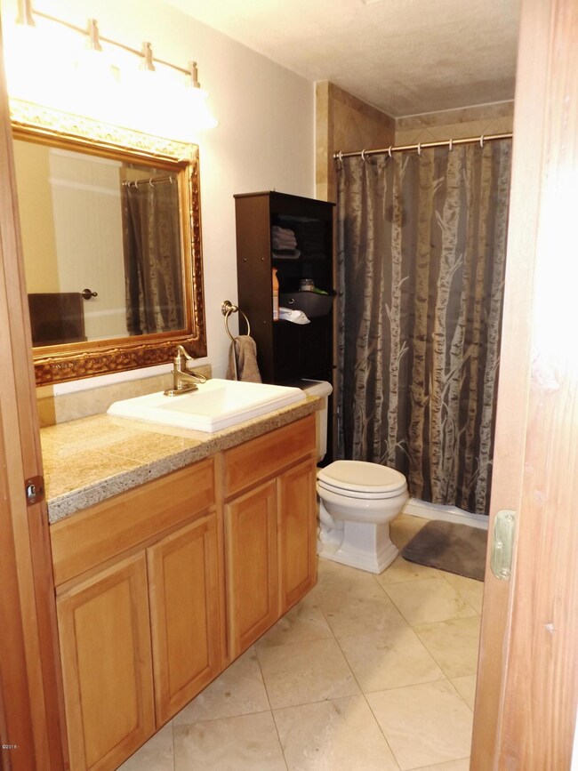 Re-modeled Apt. 1 Bath