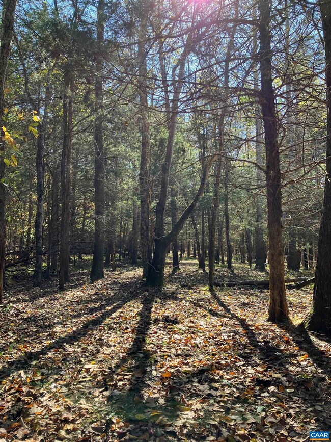 7022 Thomas Jefferson Pkwy, Palmyra, VA 22963 - photo 4