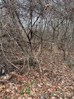 28 Tower Ln, Naugatuck, CT 06770 - photo 3