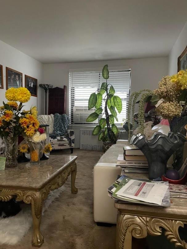 87-40 Francis Lewis Blvd unit B-42, Queens Village, NY 11427 - photo 2