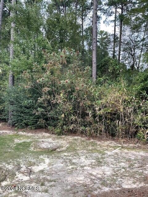 5 Raintree Ct, Pinehurst, NC 28374 - photo 2