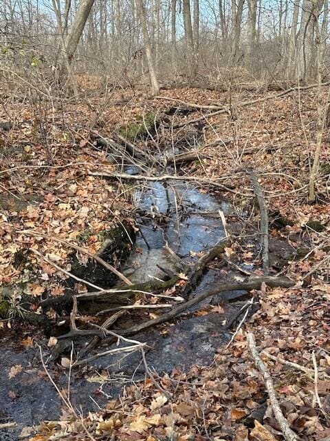 V/L N 12th St, Plainwell, MI 49080 - photo 2