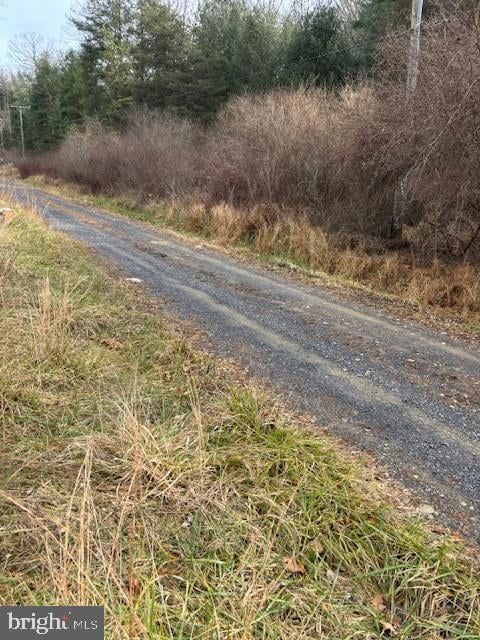 866 Wildlife Dr, Lost City, WV 26810 - photo 4