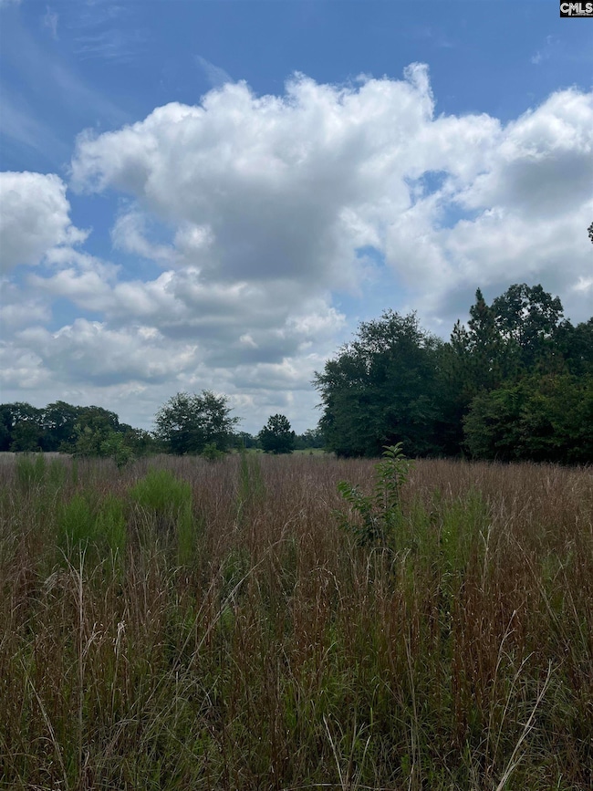 BHL 3 Boise Cascade Rd unit BHL 3, Bethune, SC 29009 - photo 6