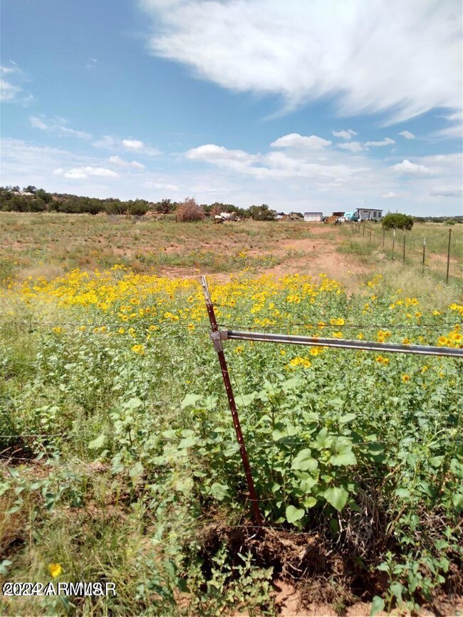 20240209170723924151000000-o