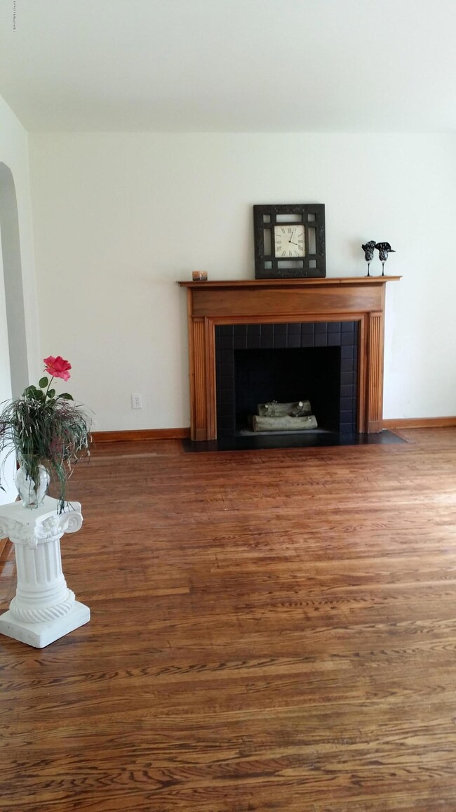 8811 Maple Rd, Louisville, KY 40229 - photo 3