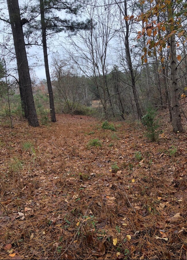 E2350607-5476-4DA1-9FBF-9B35178C8EDF