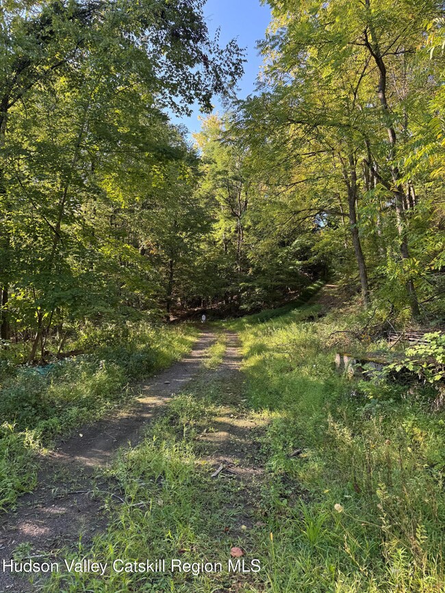 L2 High Rock Rd, West Coxsackie, NY 12192 - photo 6