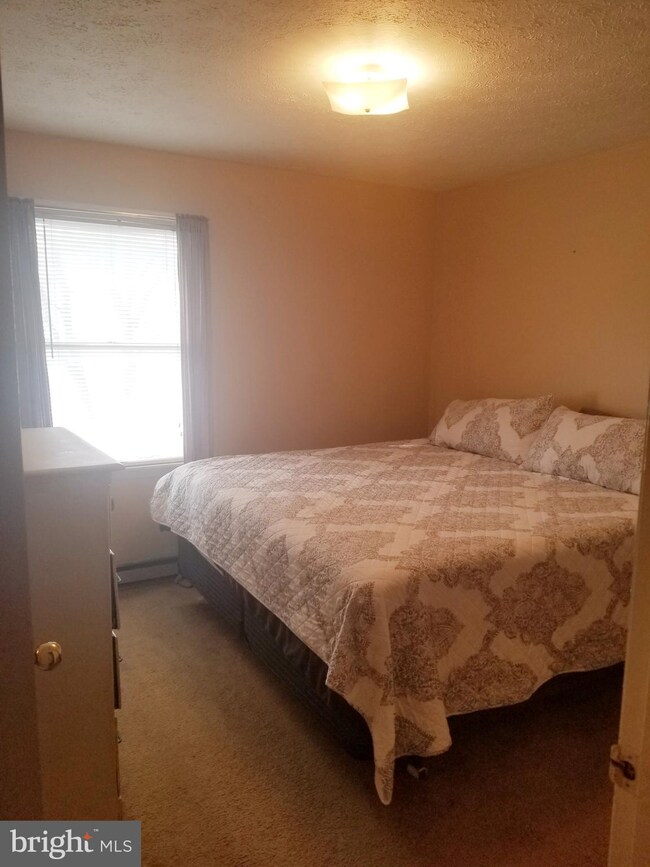 366 Lee St unit 368, Strasburg, VA 22657 - photo 7