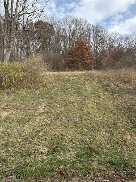 144 Arrow Rd SW unit 19, Carrollton, OH 44615 - photo 2