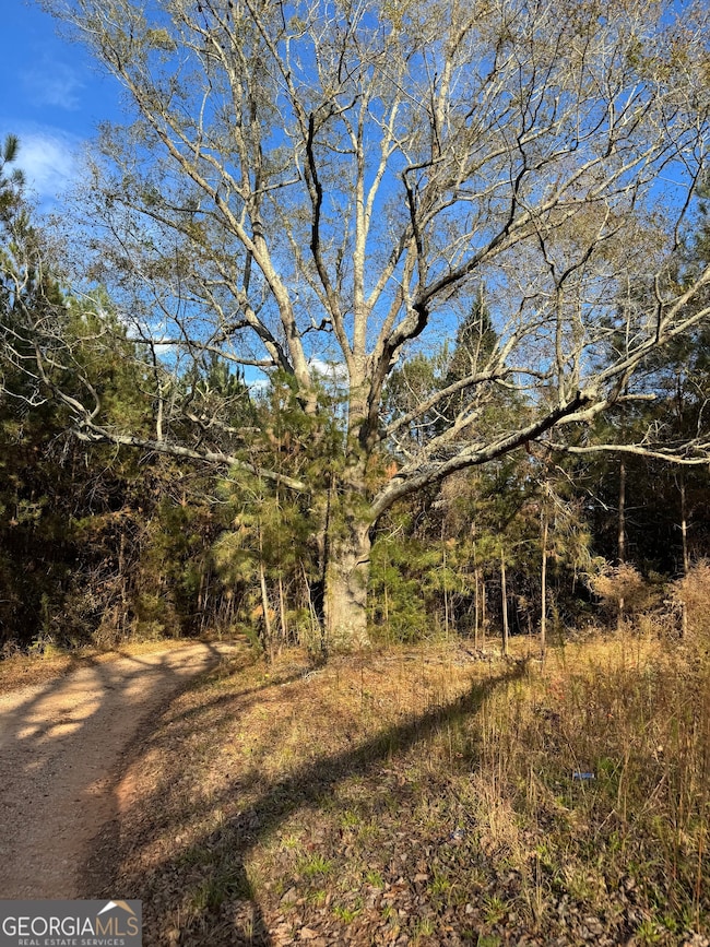 2557 Washington Hwy, Elberton, GA 30635 - photo 2