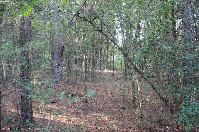 TBD Slate Hill Rd, Mulberry, AR 72947 | MLS# 1068529