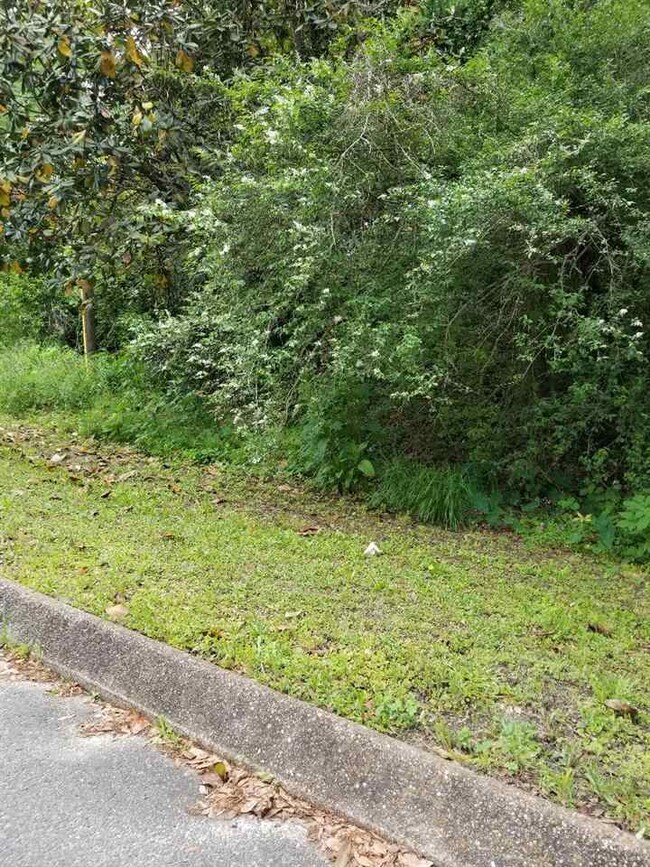 xx 8th St, Florala, AL 36442 - photo 2