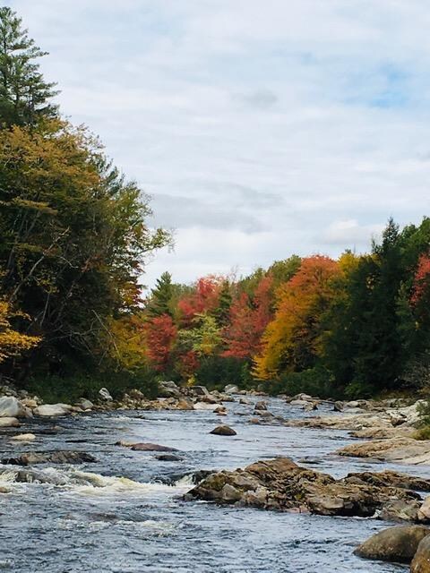 fall view of Swift River