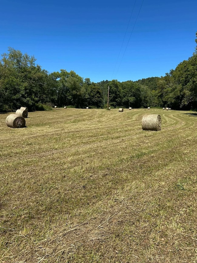 963 Pricey Creek Rd, Salyersville, KY 41472 - photo 2