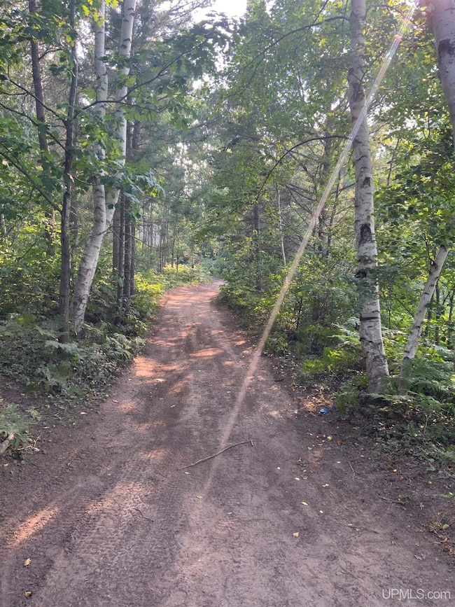 1591 Millyard Rd, Gwinn, MI 49841 - photo 3