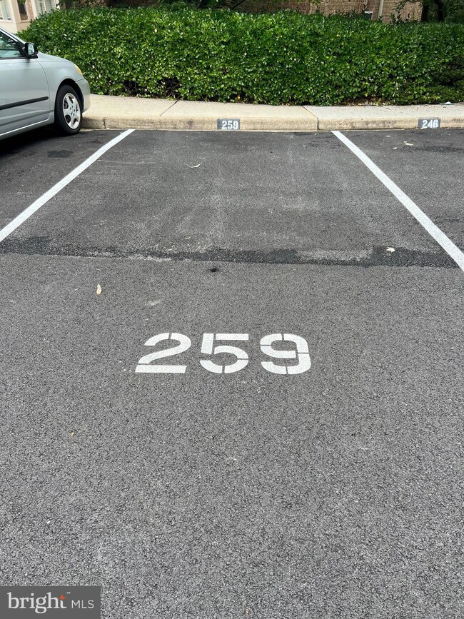 2603 Redcoat Dr unit 1 A 259, Alexandria, VA 22303 - photo 3