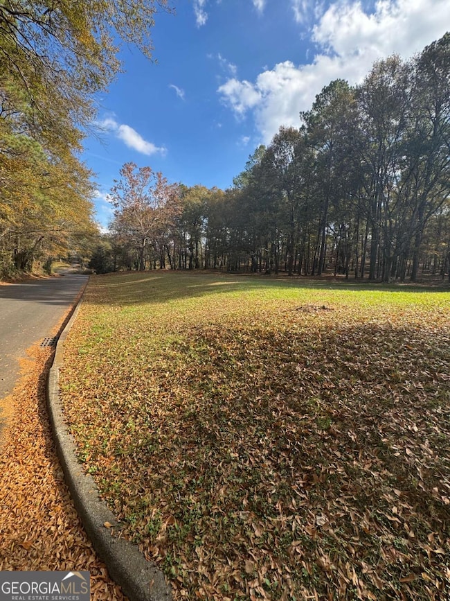 0 Knight St, Cartersville, GA 30120 - photo 7