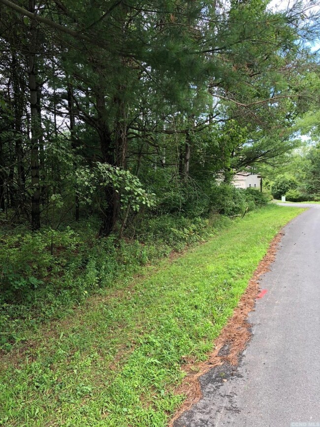 13 - C Sleepy Hollow Rd, Coxsackie, NY 12051 - photo 6