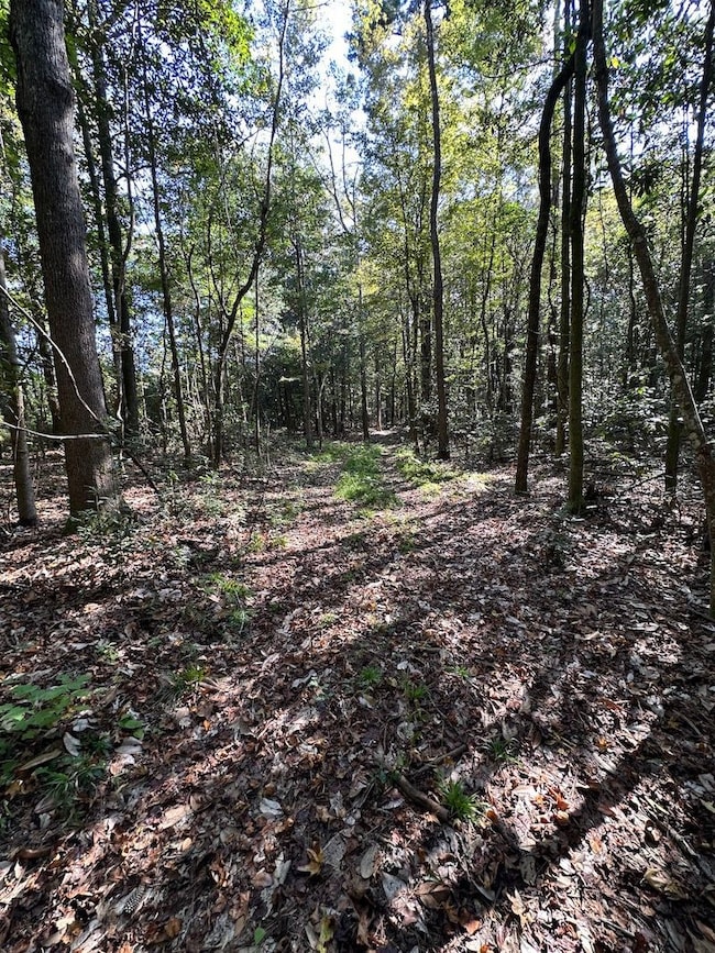 Cutrer Dr unit LotWP001, Osyka, MS 39657 - photo 3