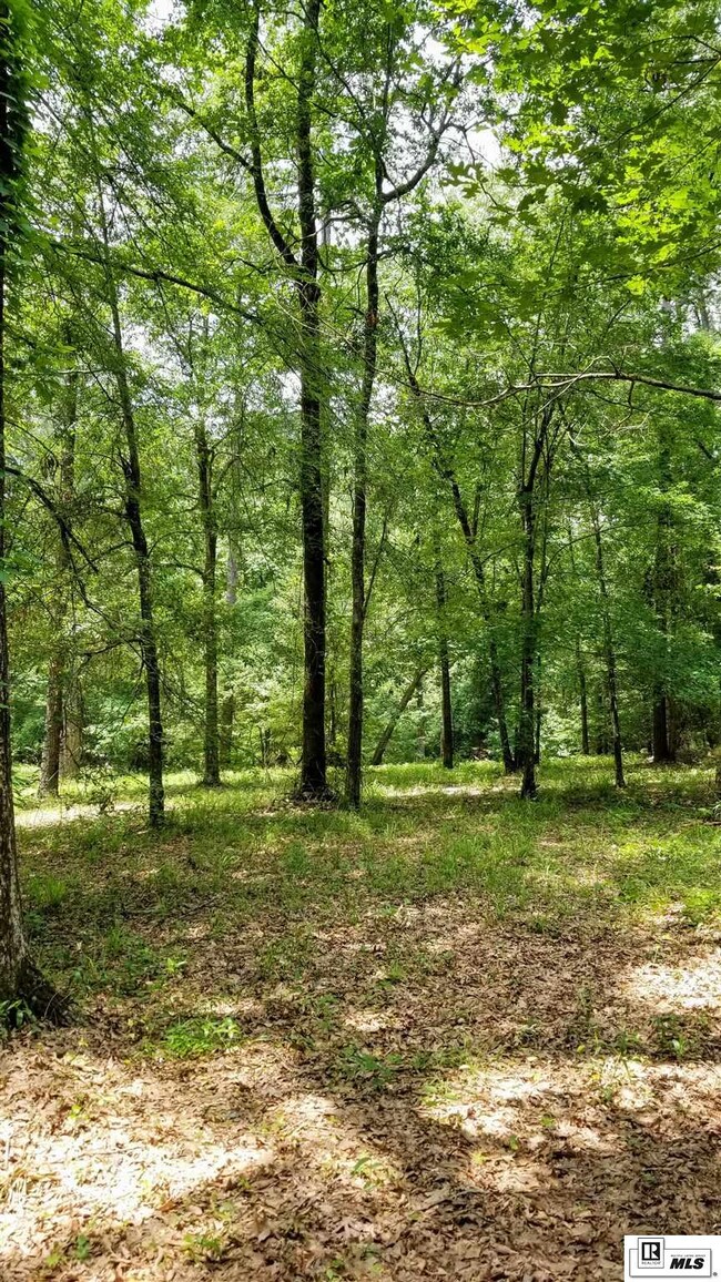 1594 Strozier Rd, West Monroe, LA 71291 - photo 7