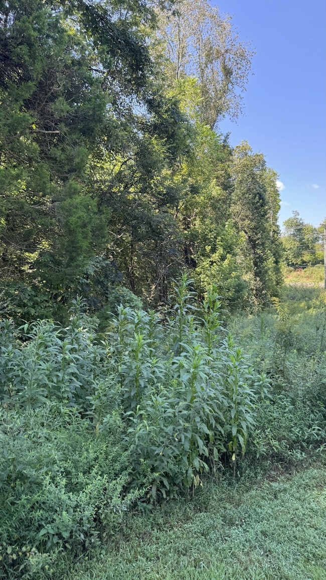 8322 Horton Hwy, College Grove, TN 37046 - photo 3