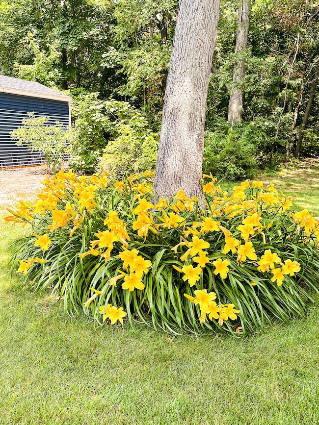 444 Grover Rd, Muskegon, MI 49442 - photo 5