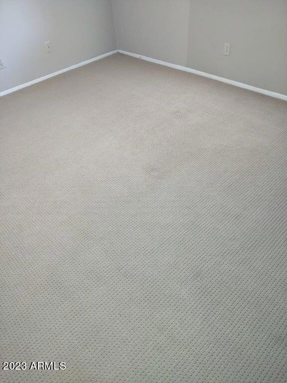 Master Bedroom-Berber Carpet