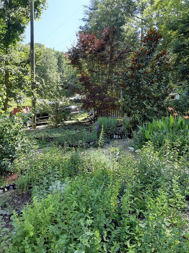 152 Jasmine Dr NE, Ranger, GA 30734 - photo 7