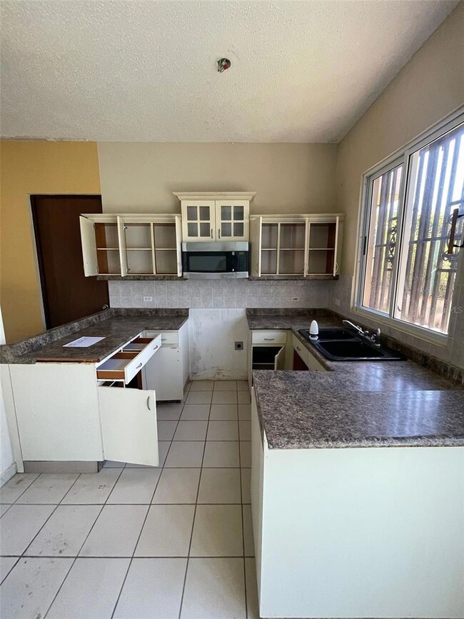 N4 Savannah Real Barcelona, San Lorenzo, PR 00754 - photo 2