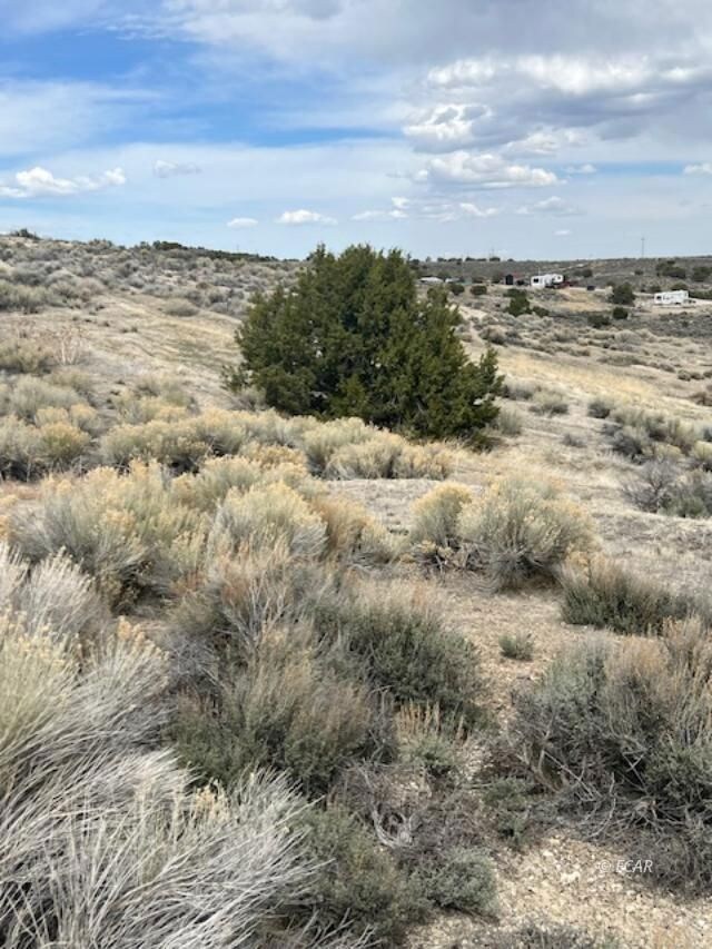 009 Grant Ave, Spring Creek, NV 89815 - photo 5