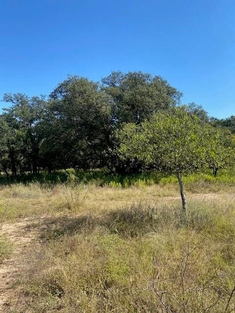 6840 County Road 327, Blanket, TX 76432 - photo 4