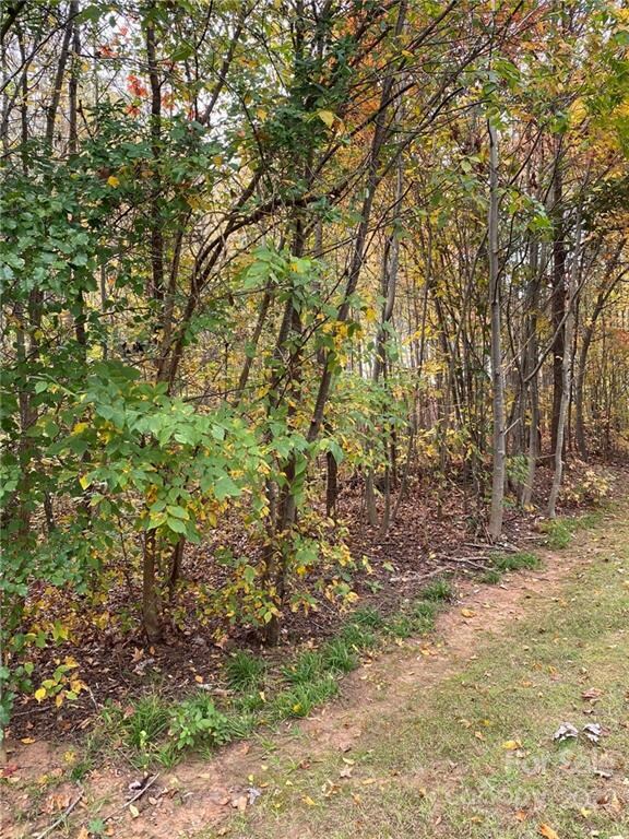 127 Trillium Dr unit 31, Statesville, NC 28625 - photo 6