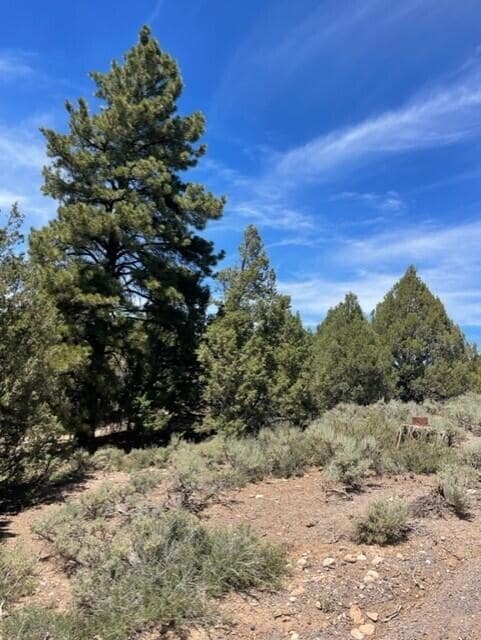 Lot 32 Cree Way unit Block A Long Valley, Duck Creek, UT 84762 - photo 6