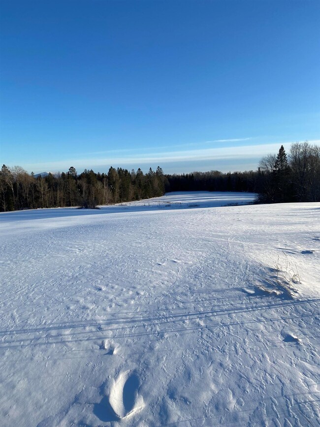 00 4 Corners Rd, Sutton, VT 05867 - photo 3