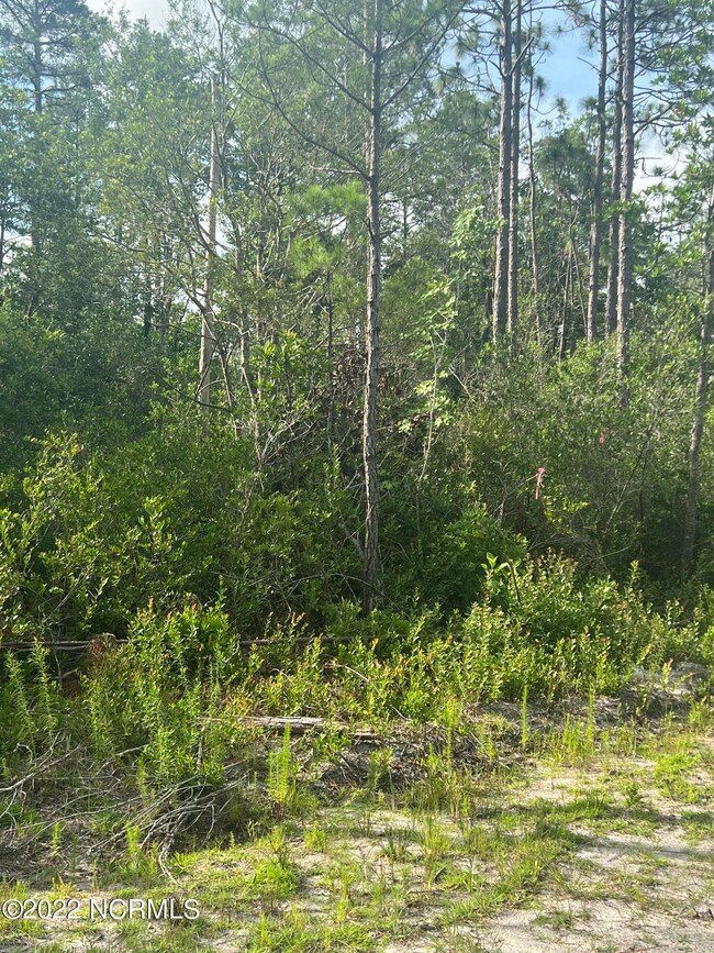 429 W South Shore, Boiling Spring Lakes, NC 28461 - photo 4