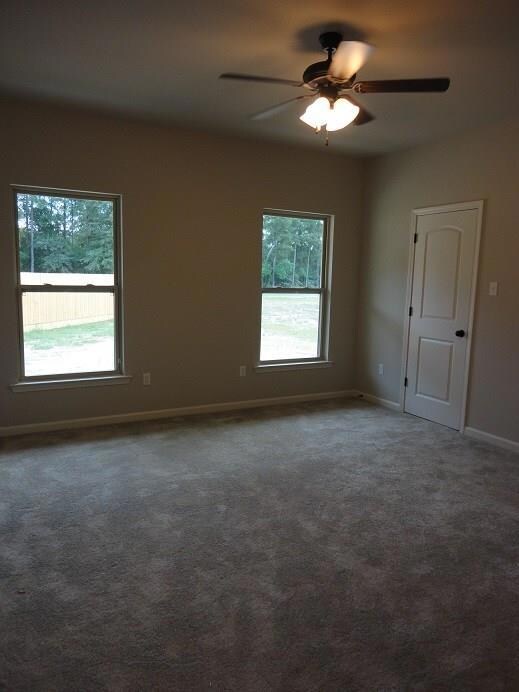 18044 Bass Lake Trail, Ponchatoula, LA 70454 - photo 4