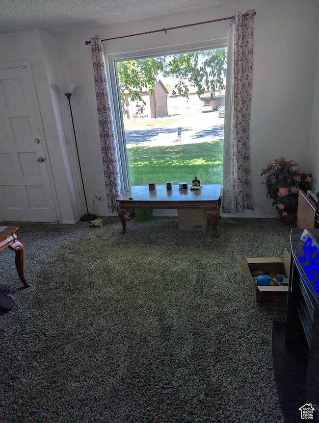 Rec room featuring healthy amount of natural light, carpet flooring, and a textured ceiling