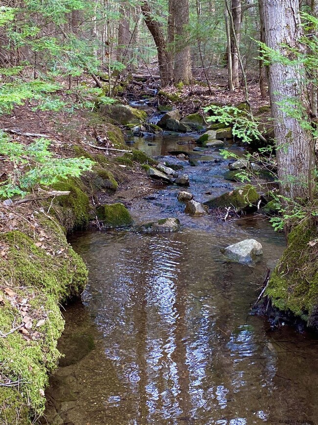 0 Raisig Rd unit 202121066, Corinth, NY 12822 - photo 3