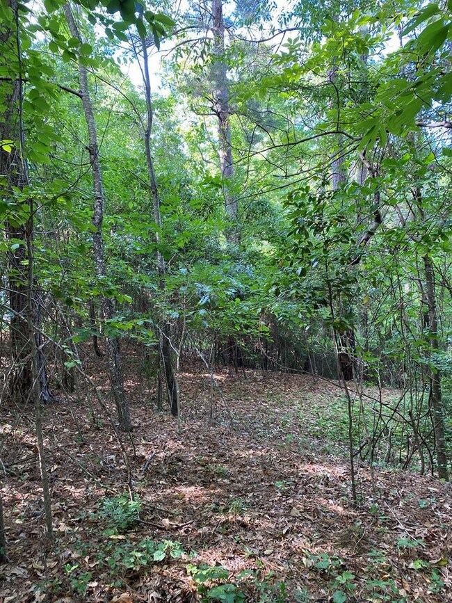 House Site Location