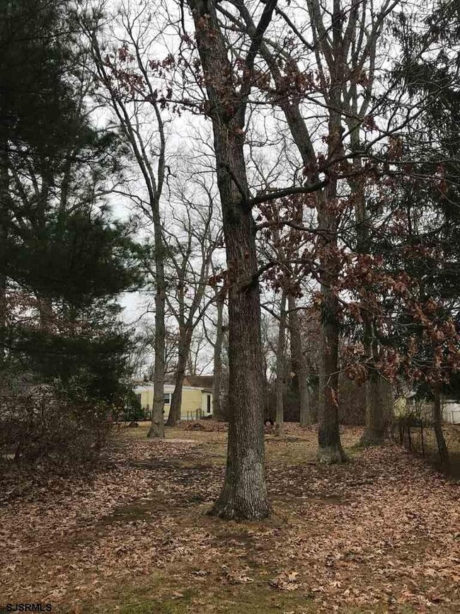 0 2nd St unit 515266, Northfield, NJ 08225 - photo 2