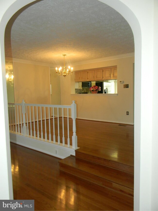 21 Mica Ct, Baltimore, MD 21209 - photo 5